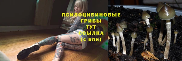 ГАЛЛЮЦИНОГЕННЫЕ ГРИБЫ Балахна