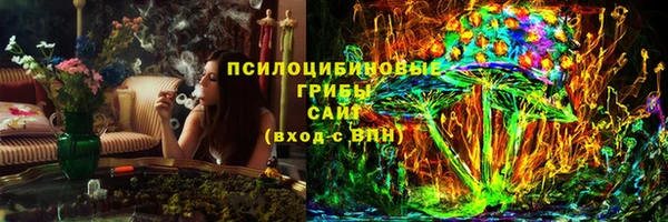 ГАЛЛЮЦИНОГЕННЫЕ ГРИБЫ Балахна