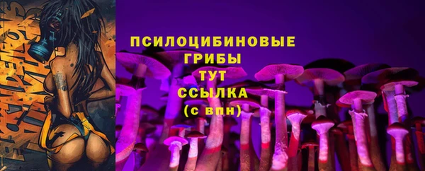 ГАЛЛЮЦИНОГЕННЫЕ ГРИБЫ Балахна