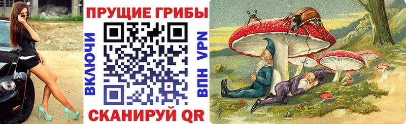 продажа наркотиков Соликамск Галлюциногенные грибы GOLDEN TEACHER